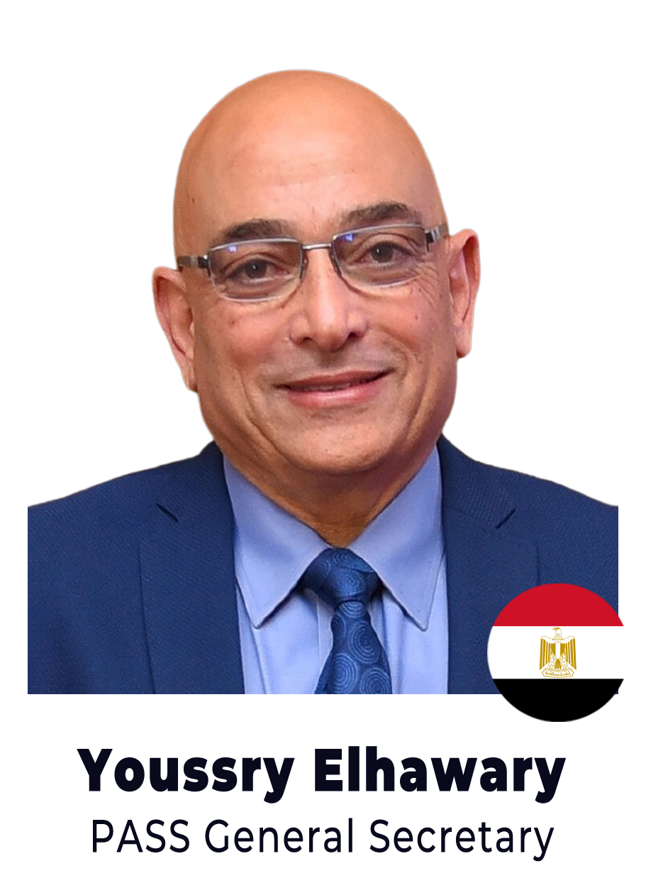 Prof. Youssry El Hawary
